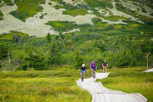 Apartament Trysil Hoyfjellssenter, Fagerasen Zewnętrze zdjęcie